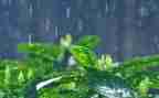 雨中的爱作文参考6篇