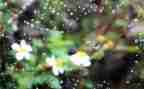 雨的感悟作文600字优秀7篇