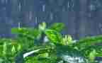 描写雨的作文400字优质5篇