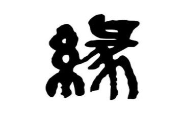 我和书的缘作文参考5篇