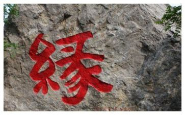 我的读书缘作文优秀8篇