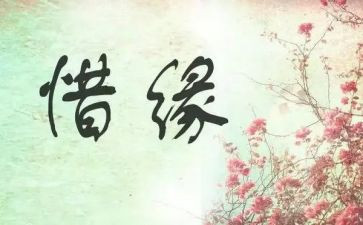 我的读书缘作文优质5篇