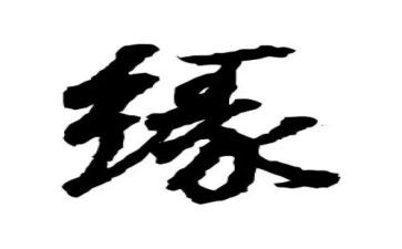 我和书的缘作文7篇