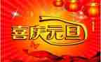 元旦主题活动方案5篇