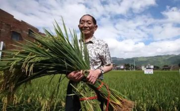 想对袁隆平说作文精选8篇