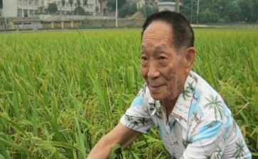 袁隆平的事迹心得体会8篇