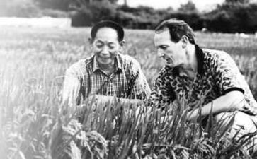 关于袁隆平作文800字5篇