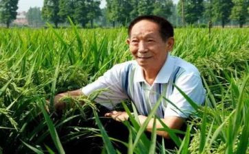 想对袁隆平说作文通用6篇