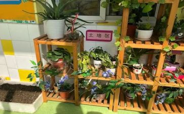 新幼儿园培训心得体会参考5篇