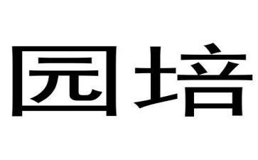 幼儿园培训师风师德心得推荐5篇