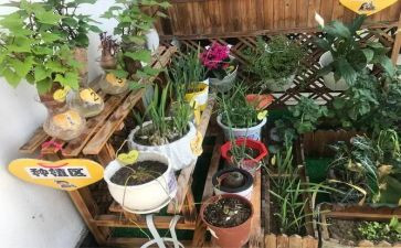 新幼儿园培训心得体会5篇