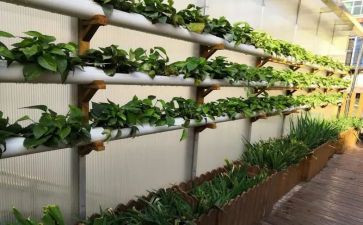 新幼儿园培训心得体会最新5篇