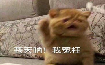 被别人冤枉作文6篇