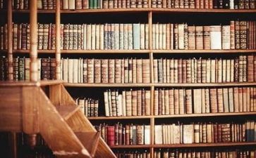 主题阅读活动方案8篇