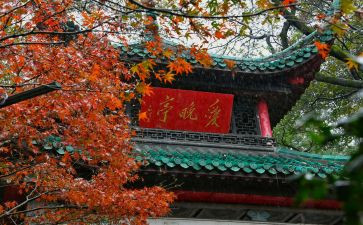 爬岳麓山心得6篇
