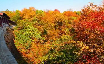 岳麓山心得体会8篇