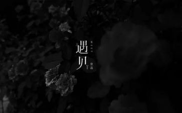 遇见不一样的自己作文5篇