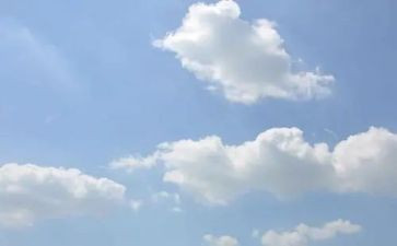 云采购申请书参考5篇
