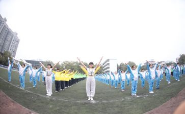 十四届全运会心得7篇