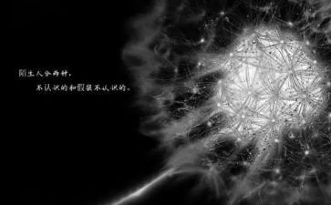 《我在乎》作文优秀7篇