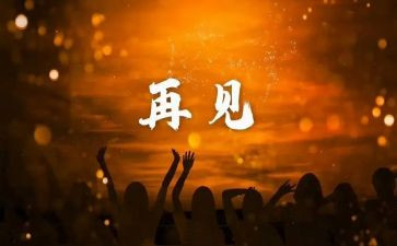 再见2024作文8篇
