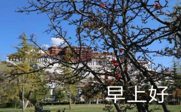 学校早演讲稿7篇