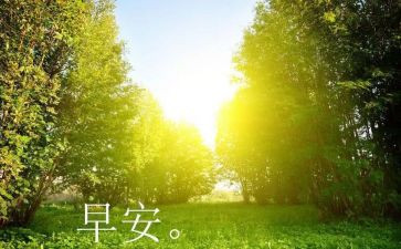 校园的早晨作文7篇