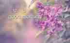 幼儿园早教活动方案8篇