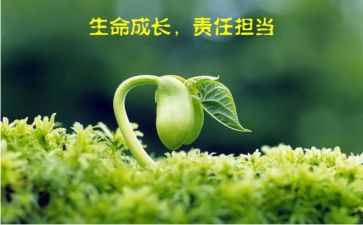 责任作文400字优秀5篇