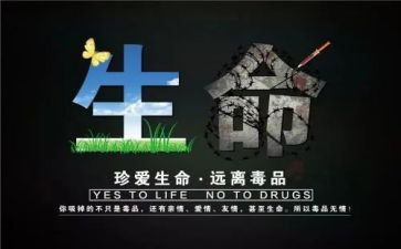 张子权事迹心得体会优秀5篇