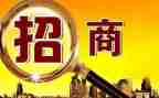 招商工作的工作计划6篇