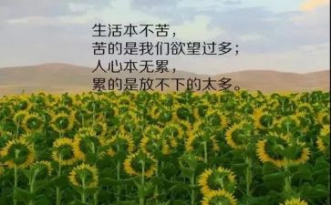 有哲理的幽默演讲稿5篇