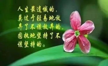 哲理句演讲稿6篇
