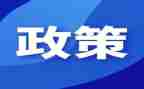 势与政策心得体会模板6篇
