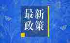 双减政策小学生心得体会7篇