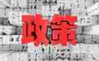 双减政策后教师心得体会6篇