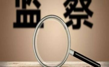 巡视整改报告6篇