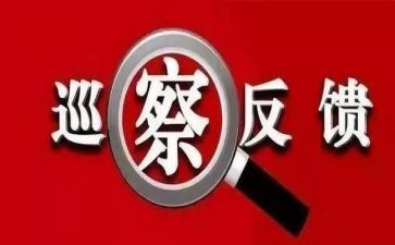 收费检查整改报告7篇
