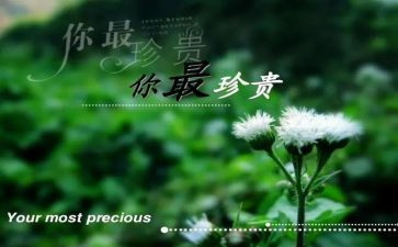 亲情的珍贵作文7篇