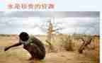 珍贵礼物作文参考7篇