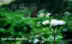 亲情的珍贵作文7篇