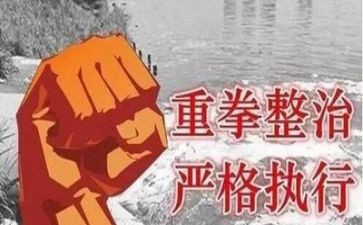 整治办的工作计划5篇