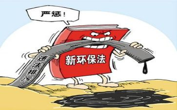 环境整治的工作总结8篇