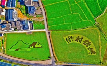 乡村振兴2024年工作计划8篇