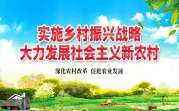 乡村振兴2024年度工作总结模板8篇