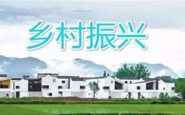 乡村振兴2024年工作总结参考8篇