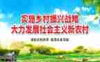 乡村振兴2024年度工作总结5篇