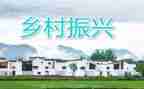 乡村振兴2024年工作总结参考8篇