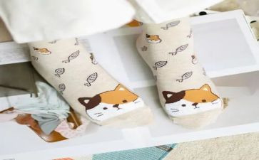 袜子教案推荐5篇