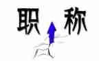 2024教师职称个人总结范文通用6篇